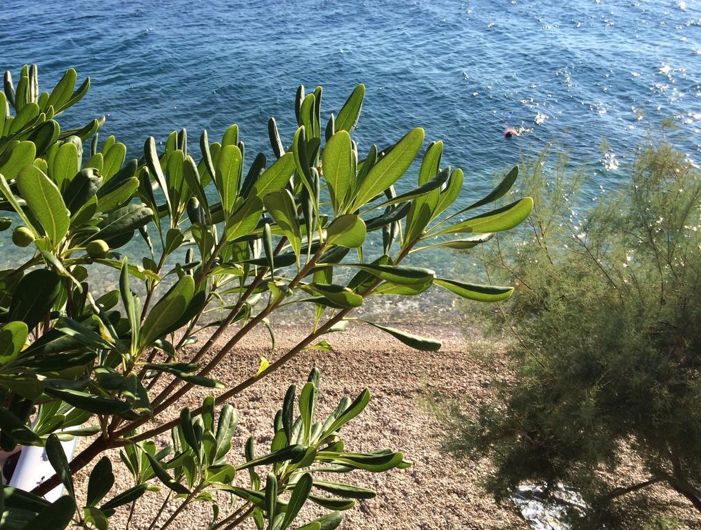 Holiday Home Mala Duba Zivogosce Bilik gambar